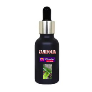 Zamifolia